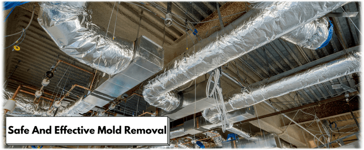 Air Duct Mold Removal in Cypress TX