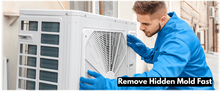 HVAC Mold Removal Cypress TX